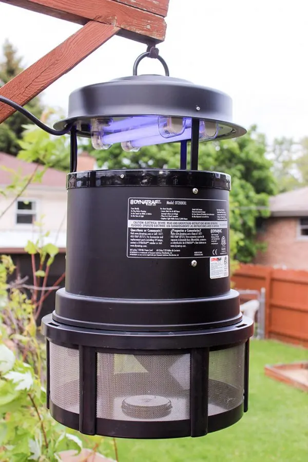 DYNATRAP Insect Trap to Reclaim Your Yard