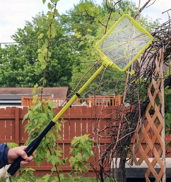 DYNATRAP Insect Trap to Reclaim Your Yard