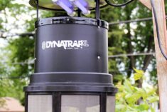 DYNATRAP Insect Trap to Reclaim Your Yard