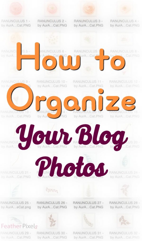 How to Organize your Blog Photos