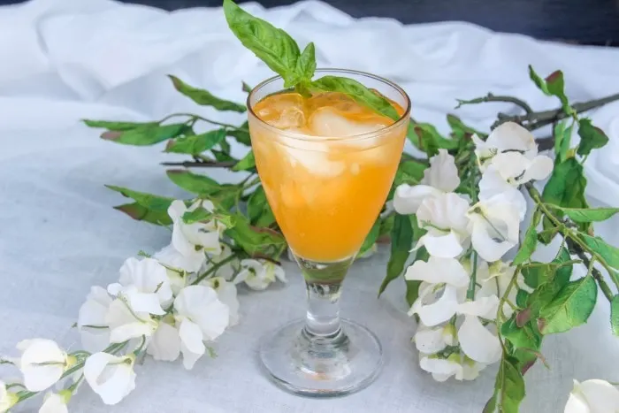 Italian Soda Orange Cream Cocktail Recipe