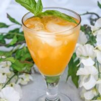 Italian Soda Orange Cream Cocktail Recipe