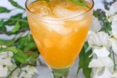 Italian Soda Orange Cream Cocktail Recipe