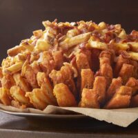Outback Steakhouse Menu - See What's Bloomin'