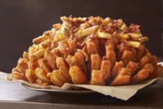Outback Steakhouse Menu - See What's Bloomin'