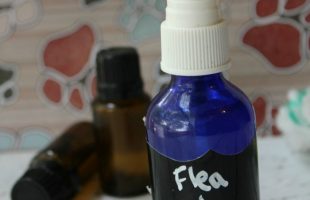 How to Make Flea and Tick Spray for Pets