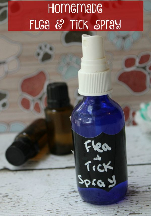 Bottle of homemade flea and tick spray