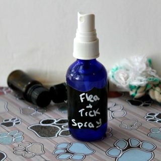 How to Make Flea and Tick Spray for Pets