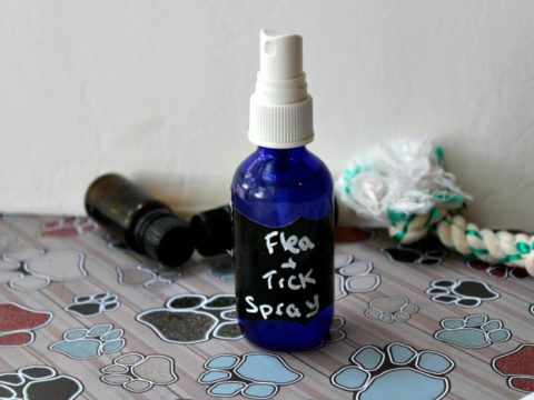 homemade tick and flea spray