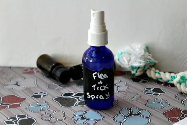 Flea and tick spray bottle sitting next to dog toy