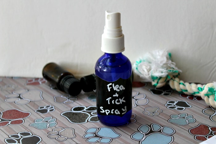 Natural homemade flea spray for clearance dogs