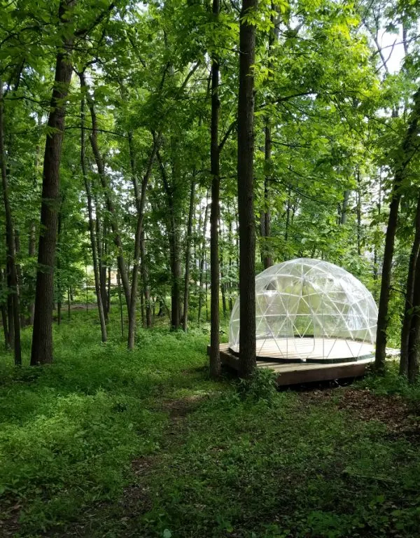 The Garden Igloo on a wood structure surrounded by trees. 