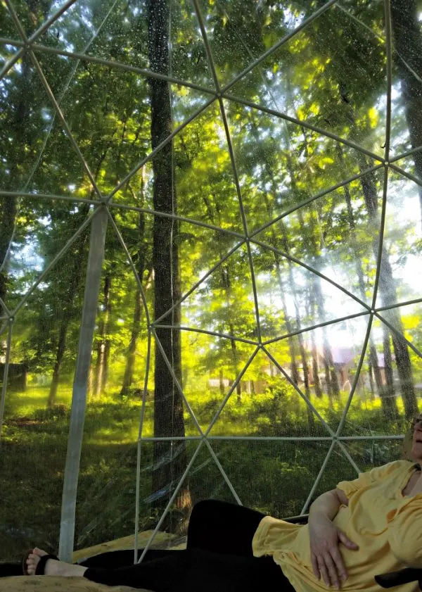 Image taken from inside a Garden Igloo surrounded by trees. 