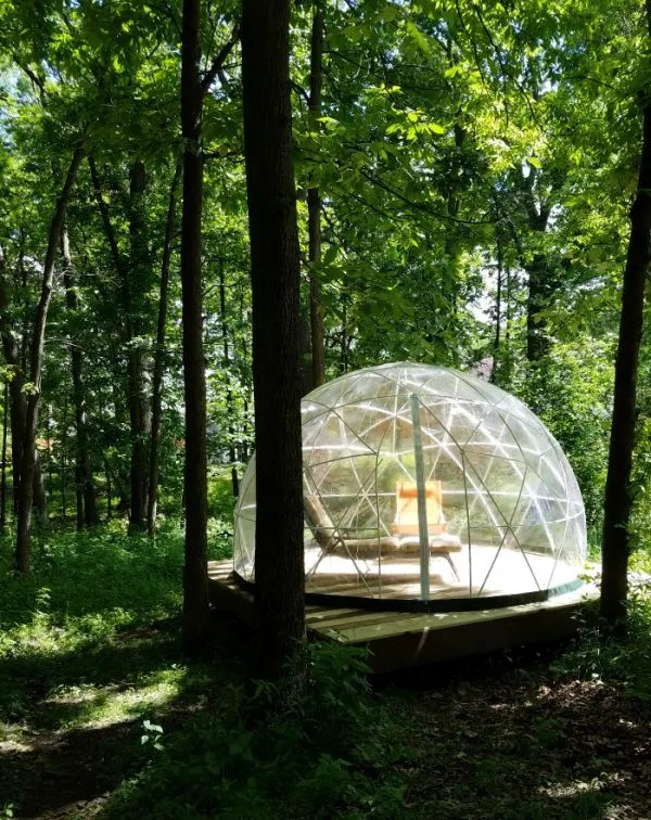 Two lounge chairs inside a Garden Igloo in the woods. 