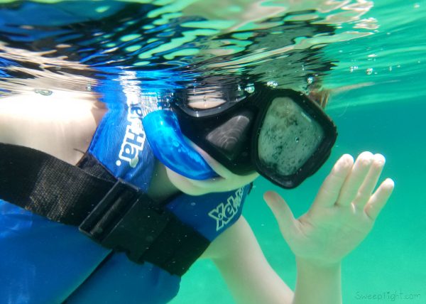 Gauge Rybak, KidFriendly underwater camera or waterproof case for phone - this was taken with my Galaxy S7.