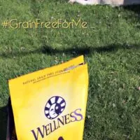 Grain Free Dry Dog Food is at PetSmart #GrainFreeForMe