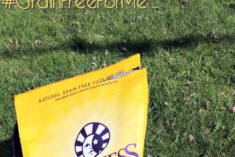 Grain Free Dry Dog Food is at PetSmart #GrainFreeForMe