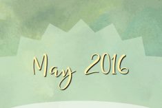 Monthly Blogging Income Report - May 2016