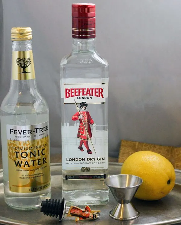 How to Make a Proper Gin and Tonic Recipe