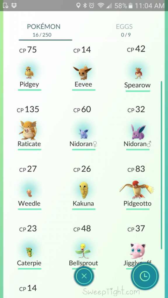 Screenshot of my Pokemon