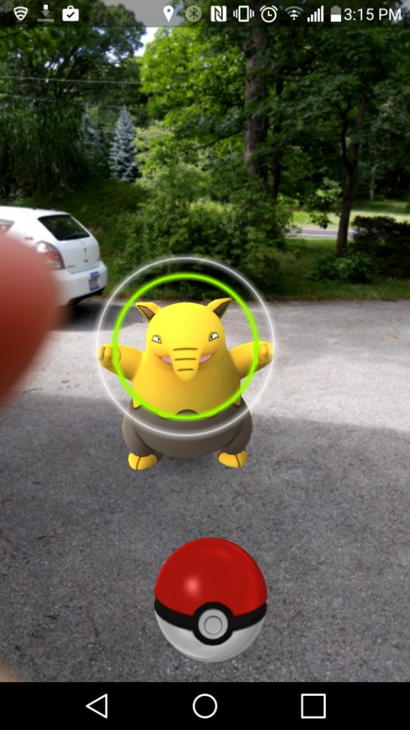 Target ring to catch a Pokemon. 