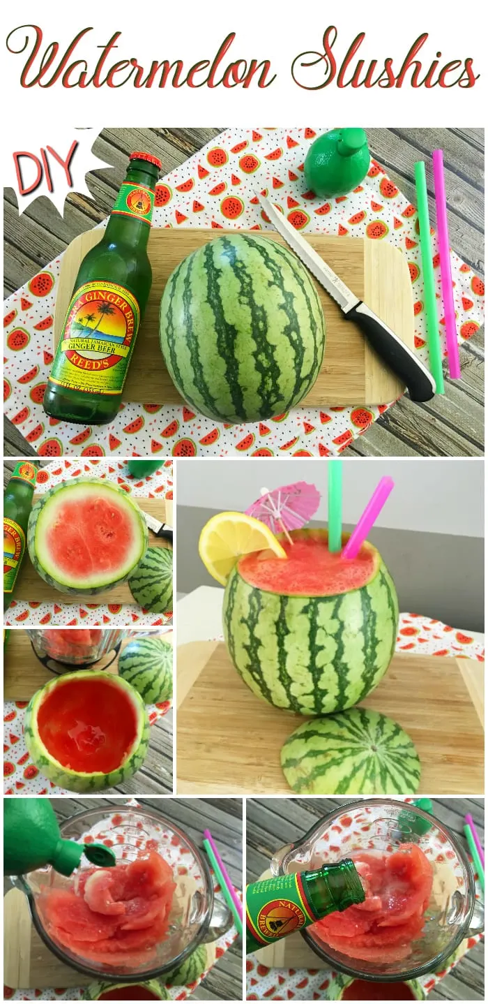 Easy Homemade Watermelon Slushy — Durst Organic Growers