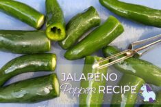 BEST jalapeΓ±o poppers recipe with cream cheese, cheddar AND a secret ingredient!