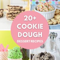 Cookie dough bark, mint chip, oreo, and rainbow cookie dough dip.