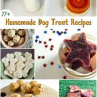 17+ Homemade Dog Treats Recipe Roundup