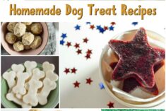 17+ Homemade Dog Treats Recipe Roundup