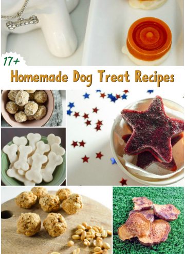 17+ Homemade Dog Treats Recipe Roundup