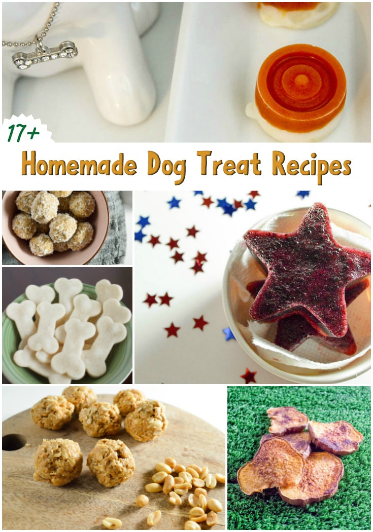 17+ Homemade Dog Treats Recipe Roundup