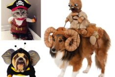 My Pet Costume is Way Better Than Your Pet Costume