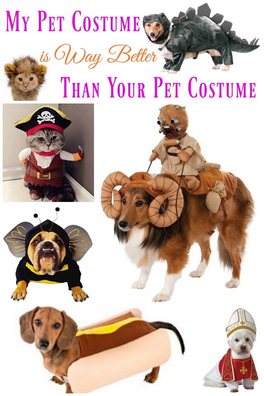 My Pet Costume is Way Better Than Your Pet Costume