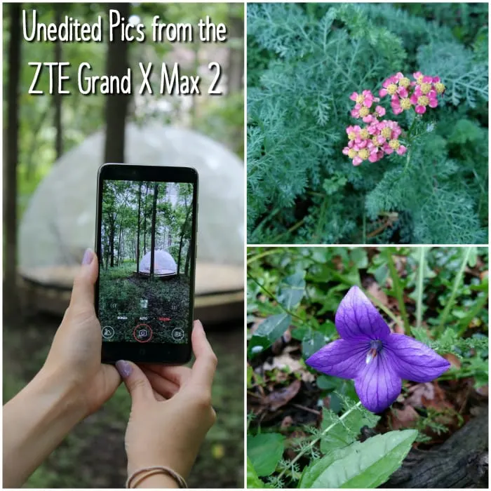 Pictures taken with the ZTE Grand X Max 2 from Cricket Wireless