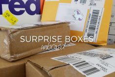 Monthly Surprise Box Unboxing and Giveaway