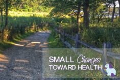 3 Easy Healthy Lifestyle Changes that Won't Overwhelm You