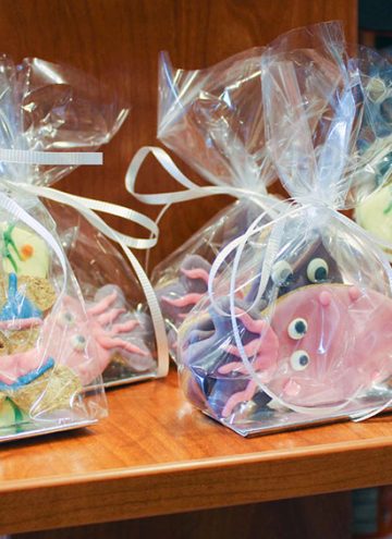 Natural Pet Store – 5 Things we Learned from our Visit