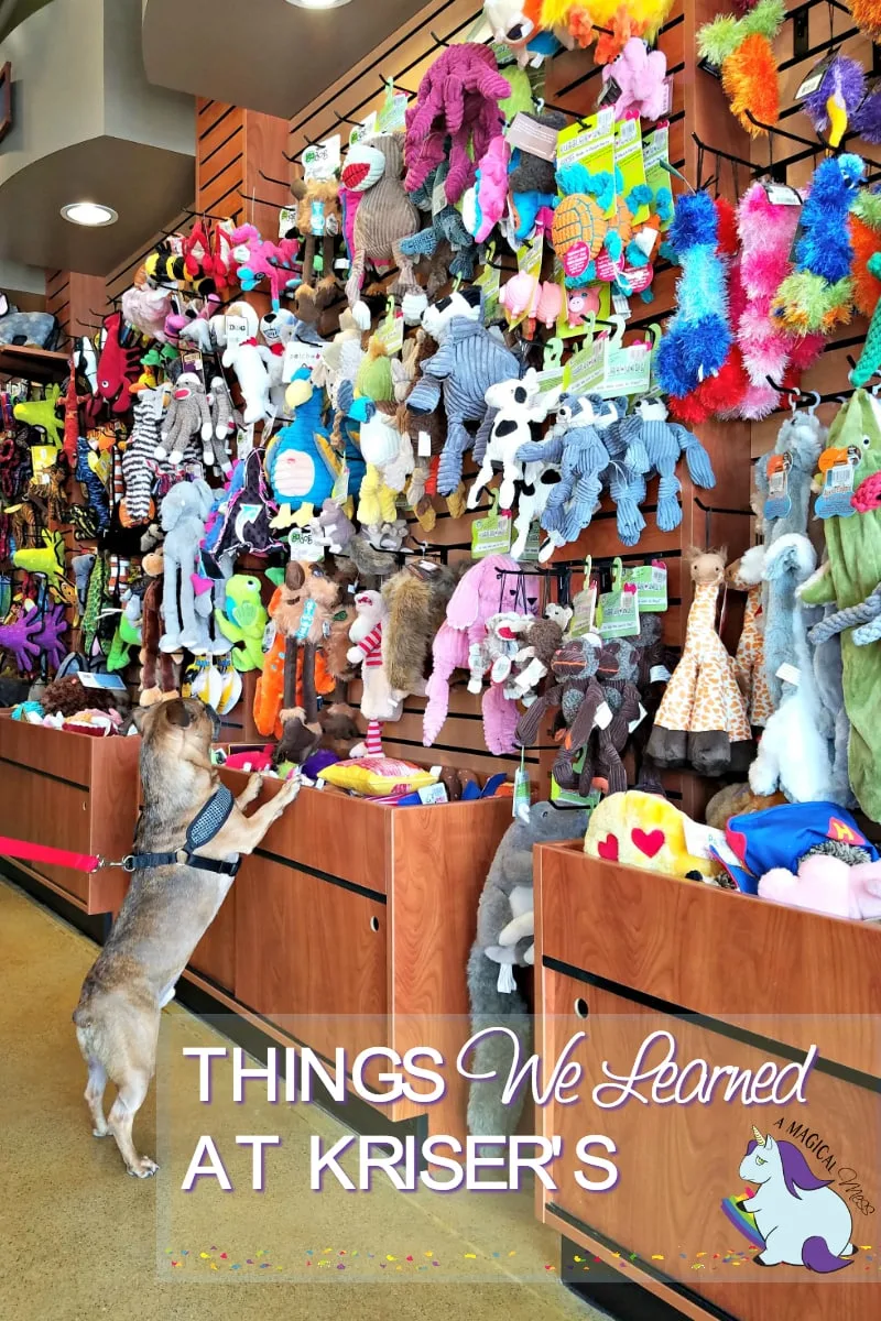 Walls of Toys at Kriser's pet store. Treat your pet with a huge variety of fun toys. 