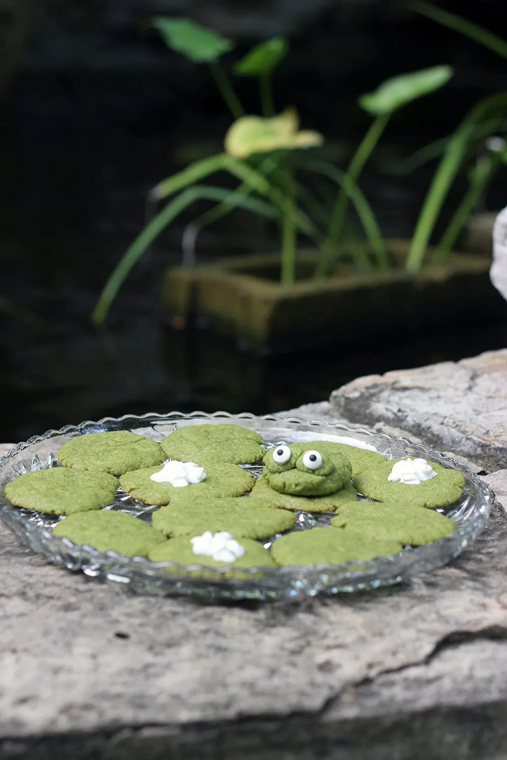 Green tea cookies shaped like lily pads next to a pond
