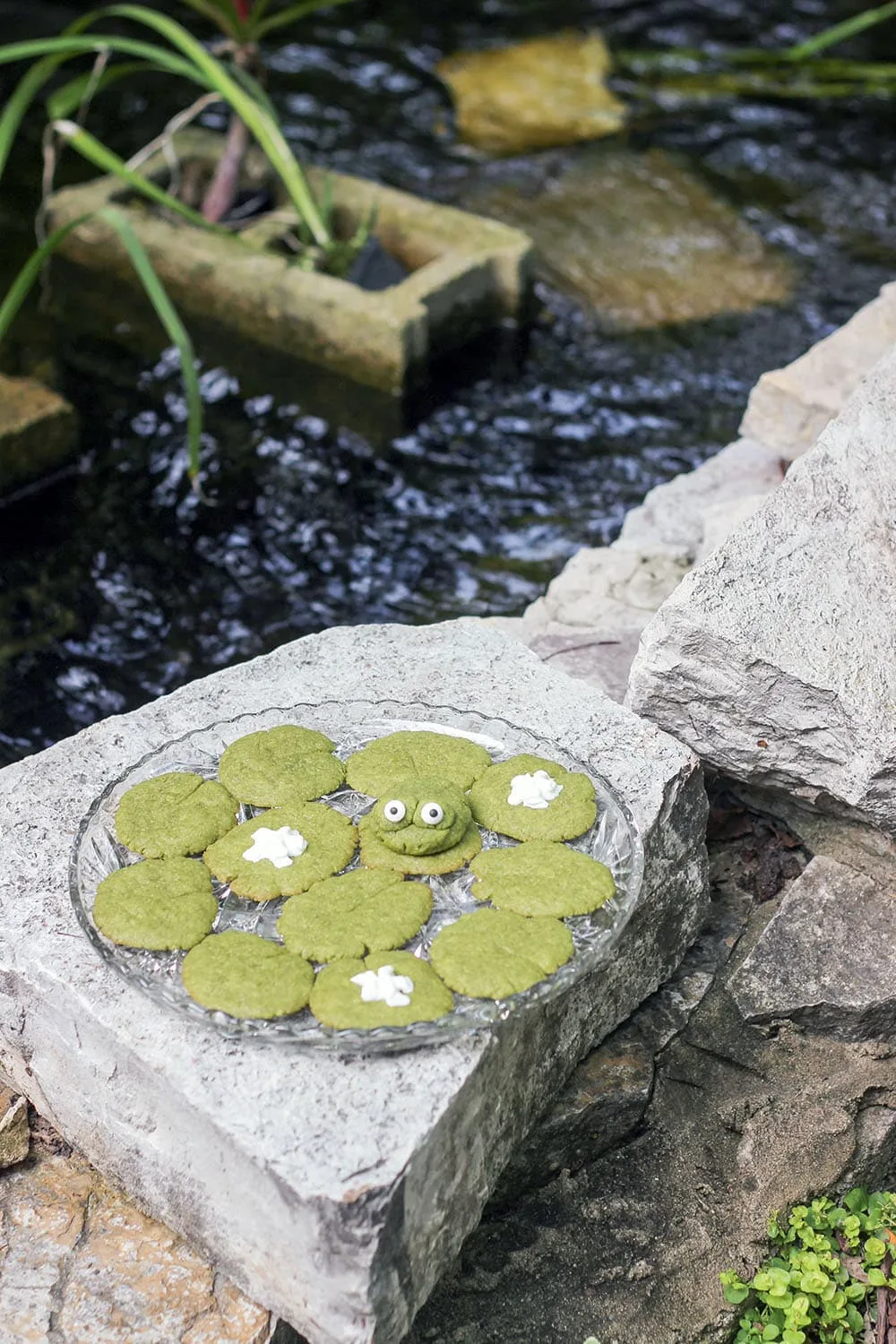 Lily pad cookies next to a real pond