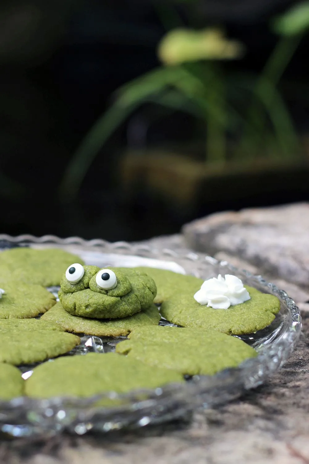 Matcha green tea sugar cookies recipe