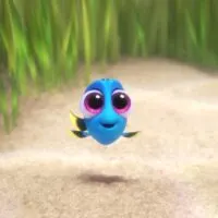 Best Way to Find Out Bonus Information on Finding Dory Characters #FindingDoryBluray