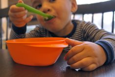 Tips for Tackling Holiday Meals with Toddlers