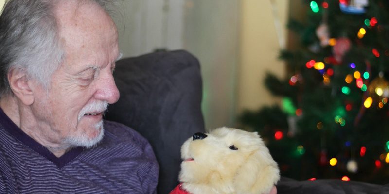 Man holding a toy dog by a holiday tree.
