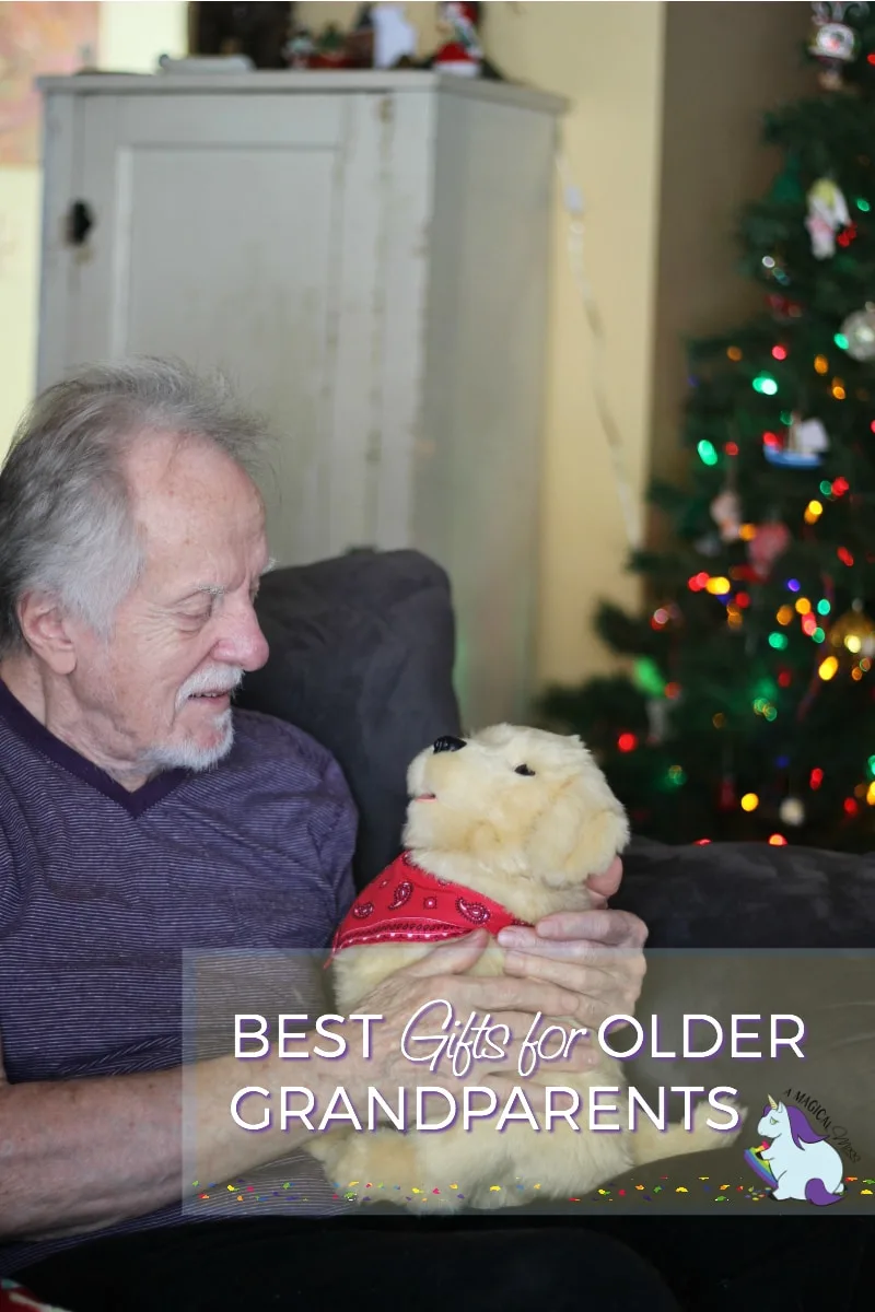 Man holding a toy dog by a holiday tree. 