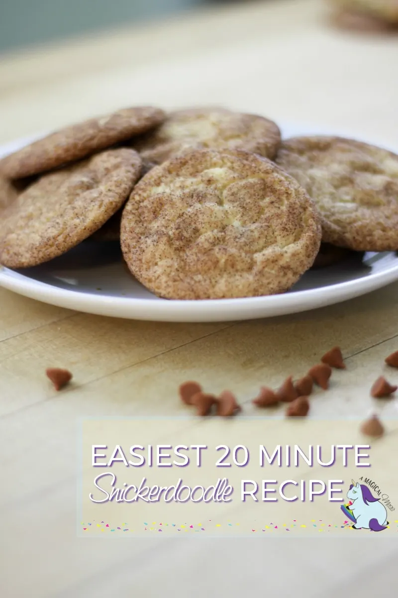 Snickerdoodles on a plate with chips