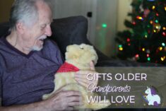 Best Gifts for Older Grandparents for Any Season #JoyForAll #IC AD