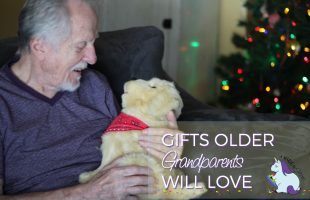 Best Gifts for Older Grandparents for Any Season #JoyForAll #IC AD