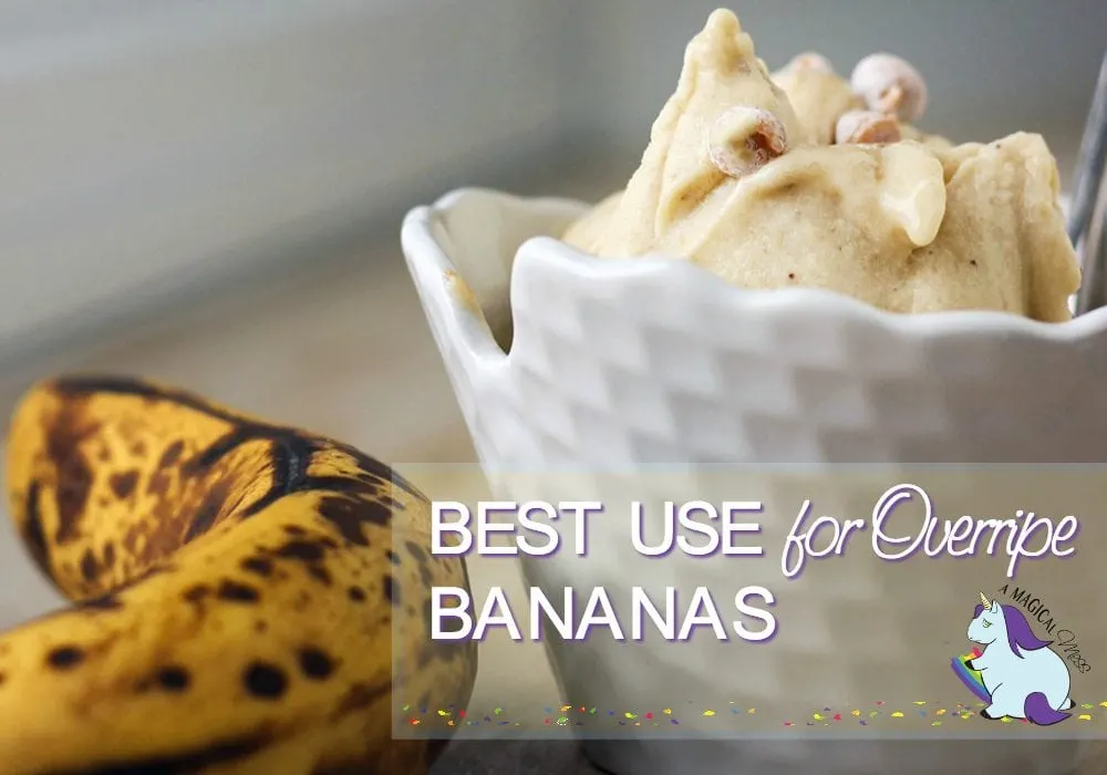 5 Reasons to Buy Yonanas to Make Healthier Choices